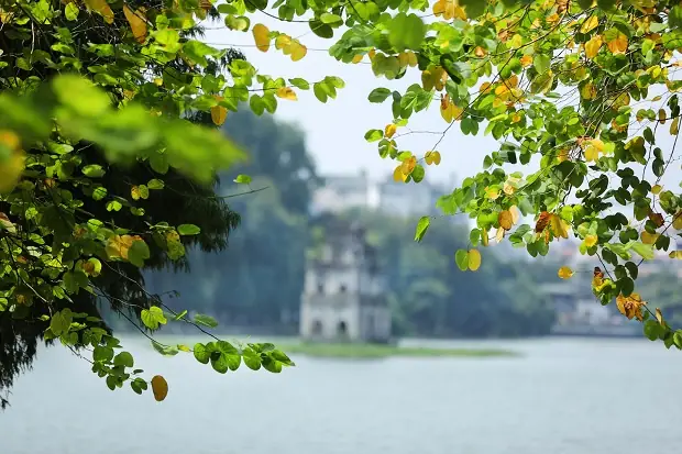 Giải Đáp Tháng 8 Là Mùa Hoa Gì Ở Hà Nội: Hoa Xoan, Hoa Sữa Và Nét Đặc Trưng Mùa Thu