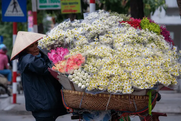 Giải Đáp Tháng 8 Là Mùa Hoa Gì Ở Hà Nội: Hoa Xoan, Hoa Sữa Và Nét Đặc Trưng Mùa Thu Giải Đáp Tháng 8 Là Mùa Hoa Gì Ở Hà Nội: Hoa Xoan, Hoa Sữa Và Nét Đặc Trưng Mùa Thu