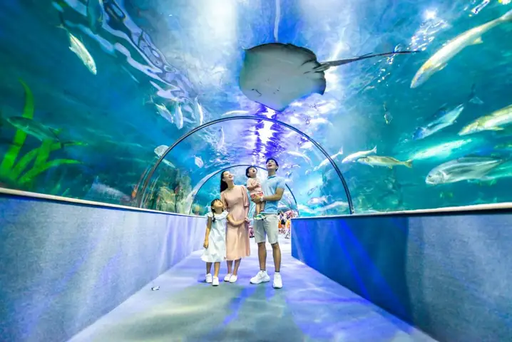 Khám Phá Vinke & Thủy Cung Vinpearl Times City: Điểm Tham Quan Giáo Trí Giữa Lòng Hà Nội