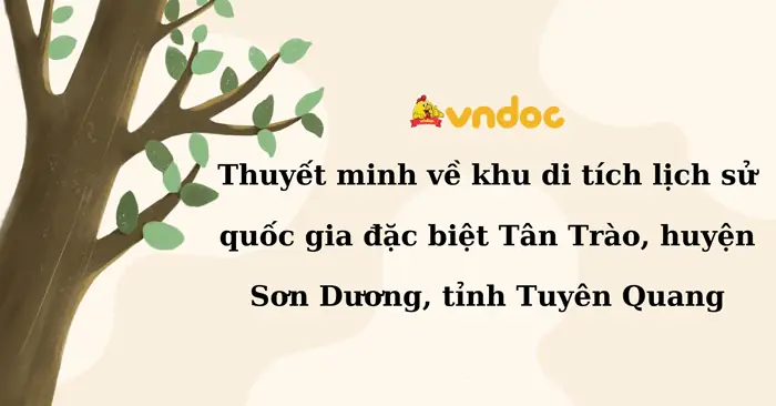 Thuyết Minh Về Cây Đa Tân Trào: Biểu Tượng Lịch Sử Cách Mạng Tại Tuyên Quang Thuyết Minh Về Cây Đa Tân Trào: Biểu Tượng Lịch Sử Cách Mạng Tại Tuyên Quang