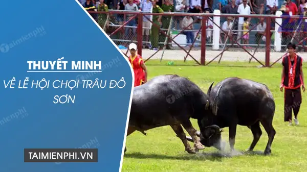 Thuyết Minh Ngắn Gọn Về Lễ Hội Chọi Trâu Đồ Sơn Cho Học Sinh Thuyết Minh Ngắn Gọn Về Lễ Hội Chọi Trâu Đồ Sơn Cho Học Sinh