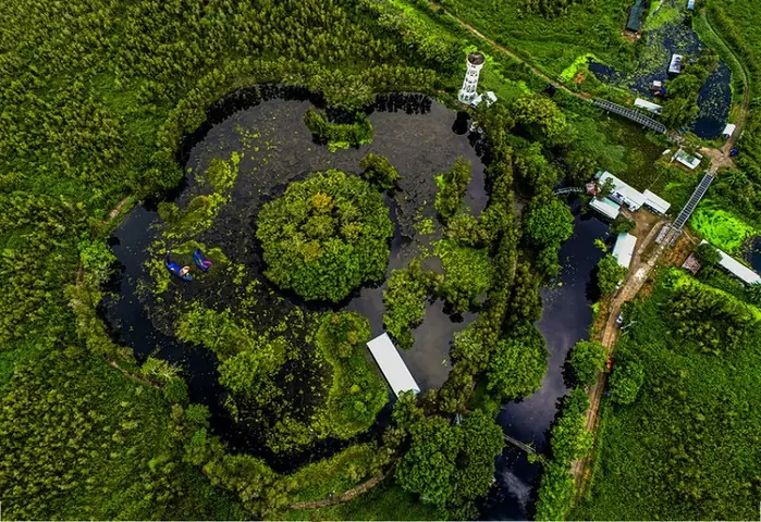 Thuyết Minh Về Vườn Quốc Gia U Minh Thượng: Tổng Quan, Hệ Sinh Thái Và Giá Trị Di Sản Thuyết Minh Về Vườn Quốc Gia U Minh Thượng: Tổng Quan, Hệ Sinh Thái Và Giá Trị Di Sản