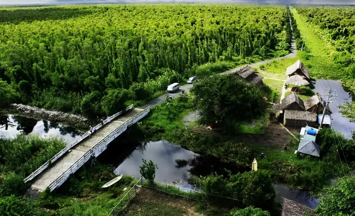 Thuyết Minh Về Vườn Quốc Gia U Minh Thượng: Tổng Quan, Hệ Sinh Thái Và Giá Trị Di Sản Thuyết Minh Về Vườn Quốc Gia U Minh Thượng: Tổng Quan, Hệ Sinh Thái Và Giá Trị Di Sản