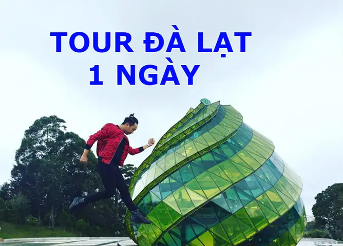 Lịch Trình Chi Tiết Tour Đà Lạt 1 Ngày: Địa Điểm, Thời Gian, Giá Và Mẹo Chọn Tour