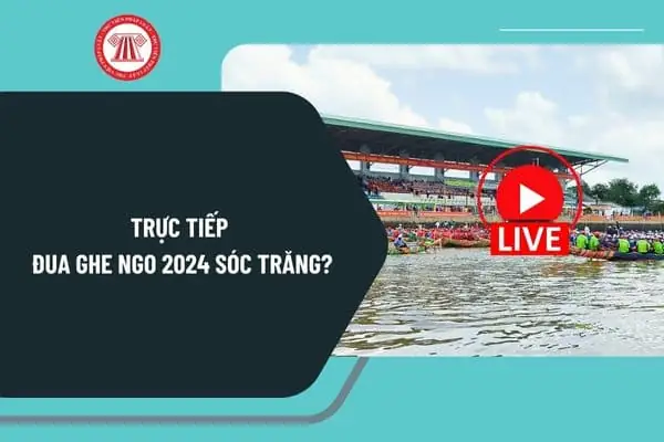 Xem Trực Tiếp Đua Ghe Ngo Sóc Trăng Ở Đâu Và Trên Kênh Nào Mới Nhất Xem Trực Tiếp Đua Ghe Ngo Sóc Trăng Ở Đâu Và Trên Kênh Nào Mới Nhất