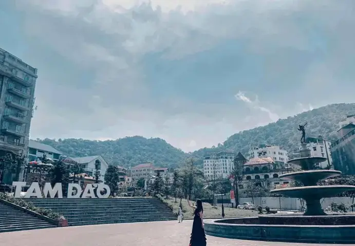 Điền Từ Vào Chỗ Trống “trường Tam Đảo Chạy Quanh Quanh” Trong Bài Tập Tiếng Việt Lớp 2/3