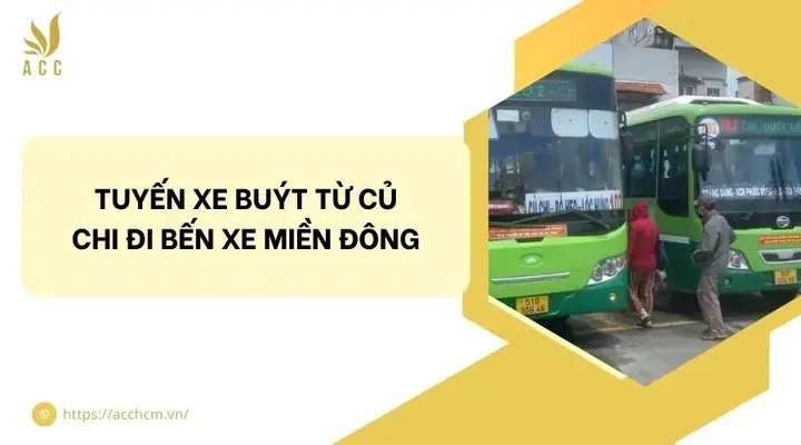 Tổng Hợp Các Tuyến Xe Buýt Đi Bến Xe Củ Chi Và Lộ Trình Chi Tiết