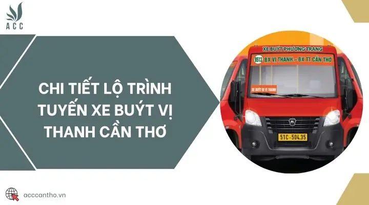 Tra Cứu Chi Tiết Tuyến Xe Buýt Vị Thanh Cần Thơ: Lộ Trình, Giờ Chạy Và Giá Vé Mới Nhất