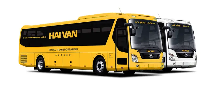 Cách Đặt Vé Xe Phương Trang Đi Vũng Tàu: Lịch Trình, Giá Vé Và Tổng Đài Hỗ Trợ