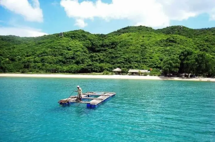 Vịnh Ninh Vân Nằm Ở Đâu: Vị Trí Chi Tiết Và Cách Di Chuyển Từ Nha Trang