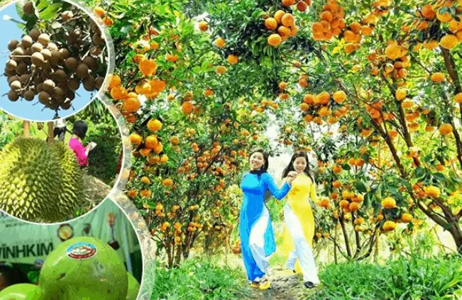 Tìm Hiểu Địa Chỉ Và Giá Vé Vườn Trái Cây Mỹ Khánh Cần Thơ: Điểm Sinh Thái Hấp Dẫn Du Khách