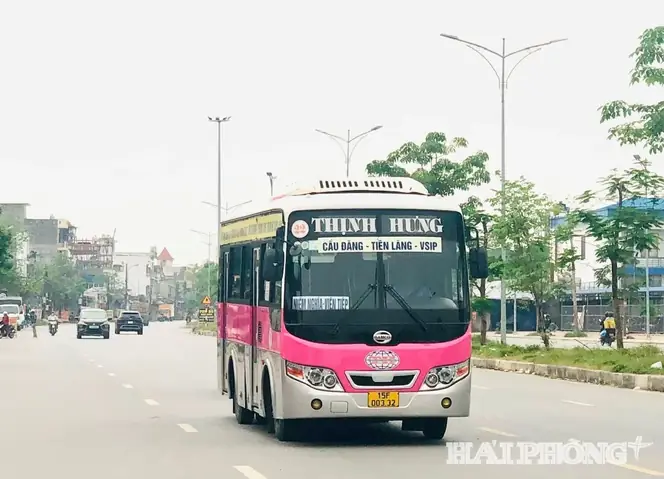 Xe Buýt Hải Phòng Đồ Sơn: Lộ Trình, Giờ Chạy, Giá Vé & Hướng Dẫn Tận Tâm