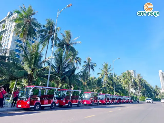 Hướng Dẫn Thuê Xe Điện Sun Taxi Quy Nhơn: Giá, Loại Xe, Đặt Xe Nhanh & An Toàn