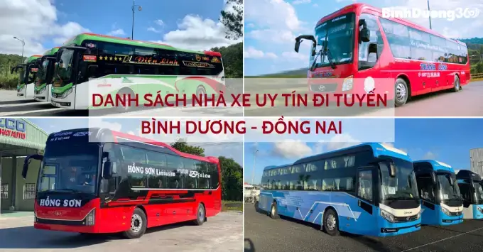 Tổng Hợp Các Tuyến Xe Từ Đồng Nai Đi Bình Dương: Nhà Xe, Giá Vé Và Cách Đặt Vé