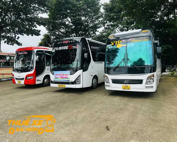 Thông Tin Liên Hệ Và Lịch Trình Xe Khách Khánh Ngọc Cù Lao Dung Mới Nhất