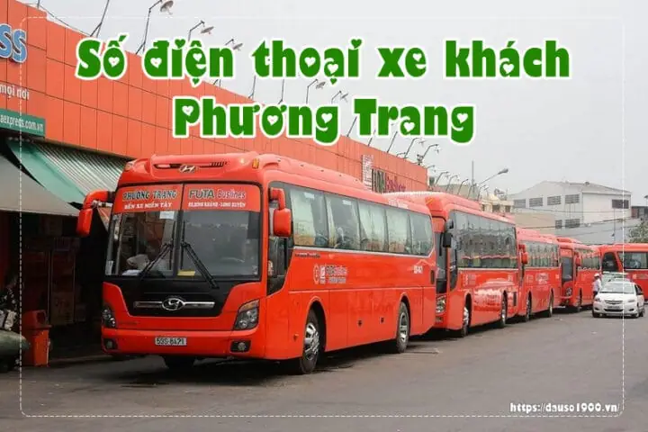 Xe Phương Trang Bảo Lộc – Sài Gòn: Giá Vé, Lịch Trình, Thời Gian Di Chuyển Và Cách Đặt Vé Nhanh