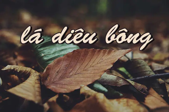 Xem Hình Ảnh Lá Diêu Bông: Giải Mã Hình Dáng Và Ý Nghĩa Biểu Tượng Trong Thơ Ca
