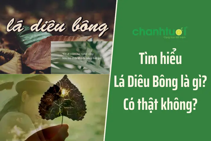 Xem Hình Ảnh Lá Diêu Bông: Giải Mã Hình Dáng Và Ý Nghĩa Biểu Tượng Trong Thơ Ca